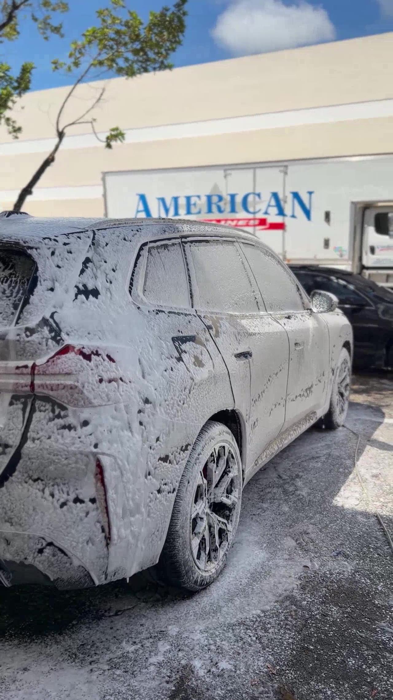 BMW X5 — foam cannon treatment
