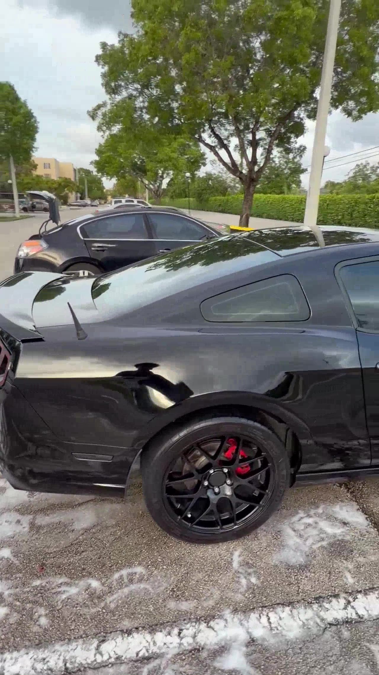 Clean black Mustang GT — post-detail