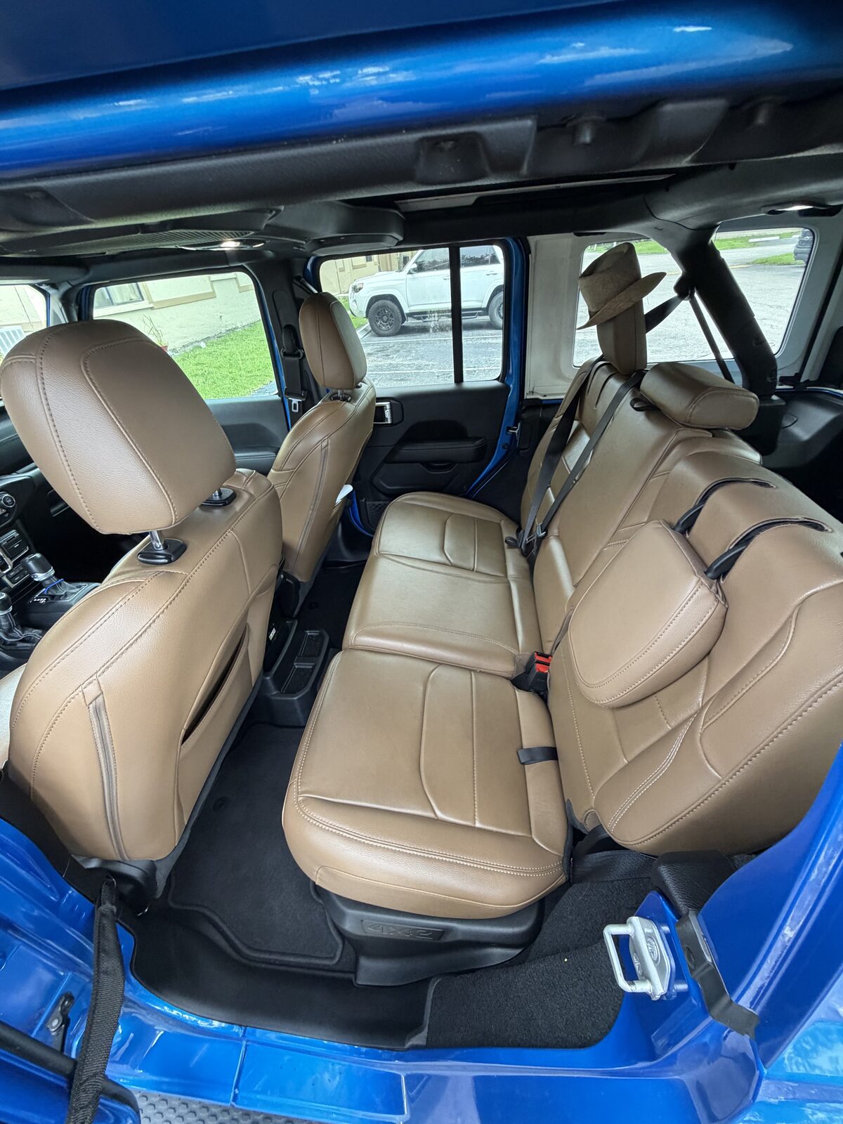 Fresh exterior detail — paint correction results