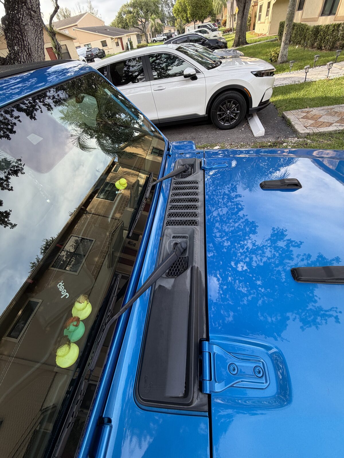 Close-up paint correction — flawless finish