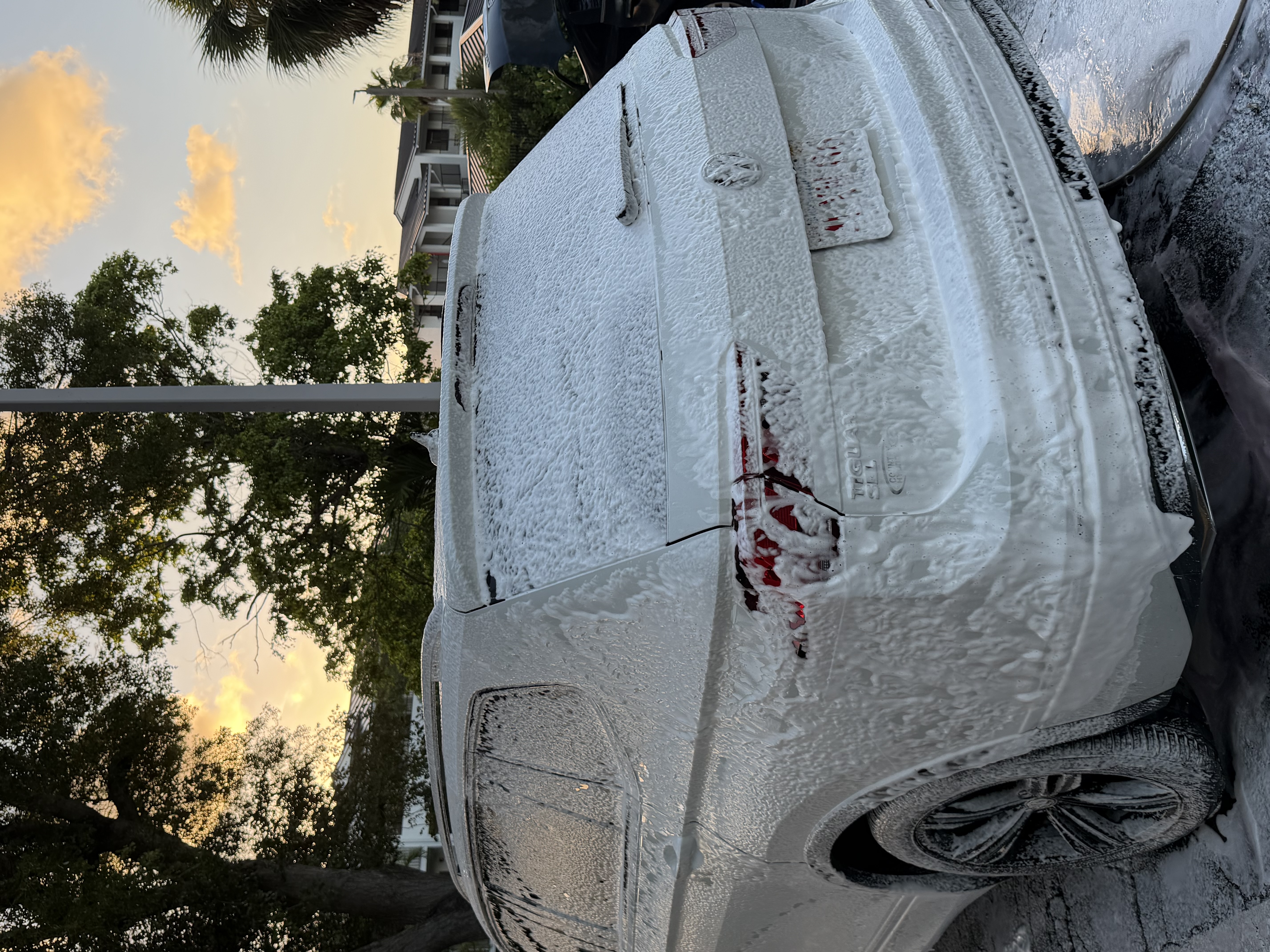 Mobile car detailing foam cannon Dania Beach FL